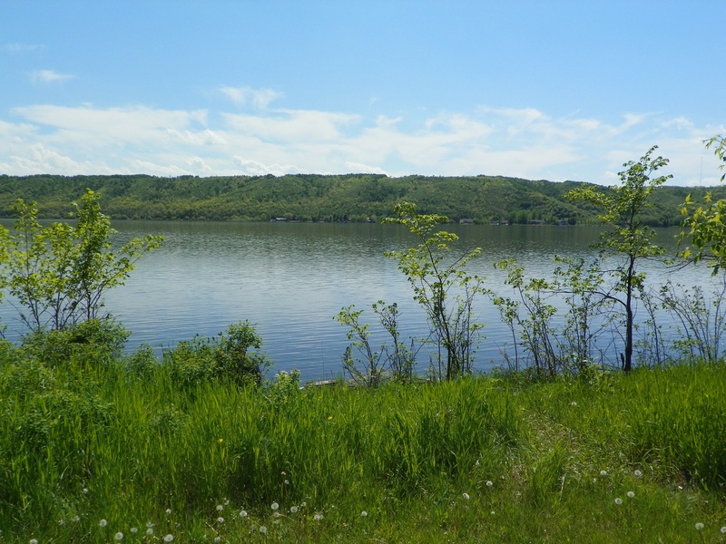 no people, environment, sky, beauty in nature, non-urban scene, land, 1080P, green color, scenics - nature, swamp, outdoors, cloud - sky, lake, water