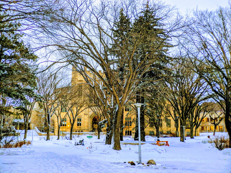 day, snow, land, winter, field, tranquil scene, bare tree, stone building, tree trunk, university, tranquility, sasketchwan, nature, canada, tree, beauty in nature