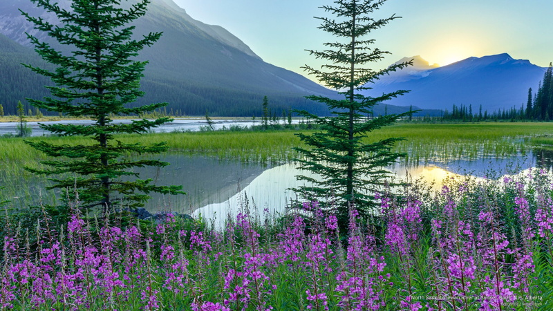 alberta, banff, Spring/Summer, 2K, saskatchewan, n, river, p, north, sunset