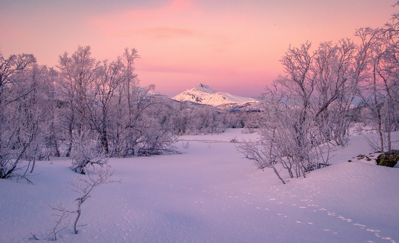 Troms, snow, mountains, traces, winter, trees, Norway, Koford, 2K, Kvæfjord, Troms county