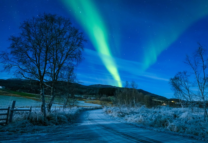 Kvæfjord municipality, Northern lights, the sky, road, aurora, Troms, phenomenon, Koford, winter, trees, Norway, 2K