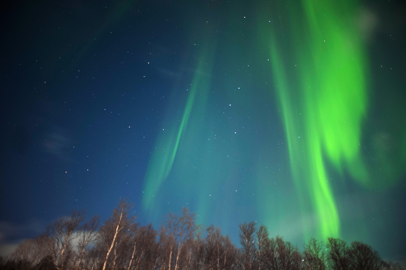Northern Light, galaxy, Aurora  borealis, Aurora borealis, space, sky, Nordlicht, buriales, astronomy, dark, aurora, milky Way, Leica  SL, photo, nature