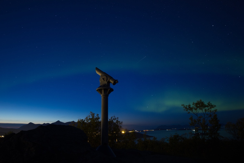 star field, plant, space and astronomy, star, moonlight, tranquil scene, norway, 4K, night, the northern lights, no people, silhouette, beauty in nature