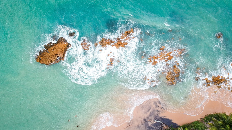 swimming, cove, aquatic sport, breaking, foam, body of water, outdoors, trees, wave, high angle view, surfing, ocean, land, blue-green, fish, near, 4K