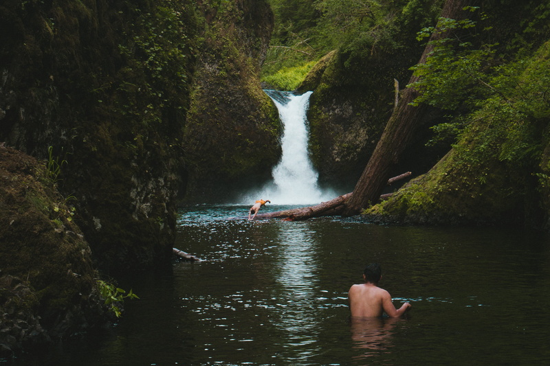 stream, beauty in nature, waterfront, outdoors, person, daytime, plant, forest, water, real people, waterfall, flowing water, non-urban scene, lifestyles