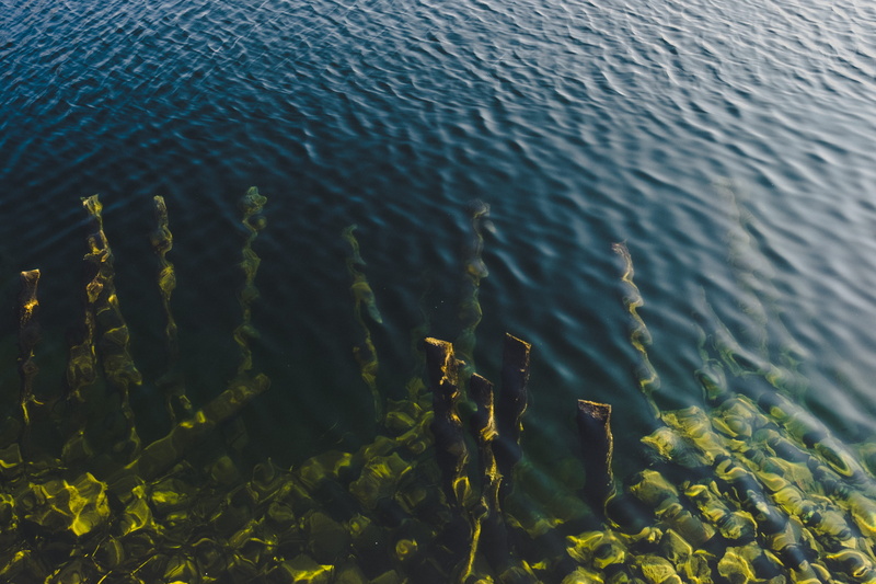 blue lake, beauty in nature, green, texture, floating, waterfront, sea weed, aerial, sunlight, outdoors, body, rippled, nature, winter lake