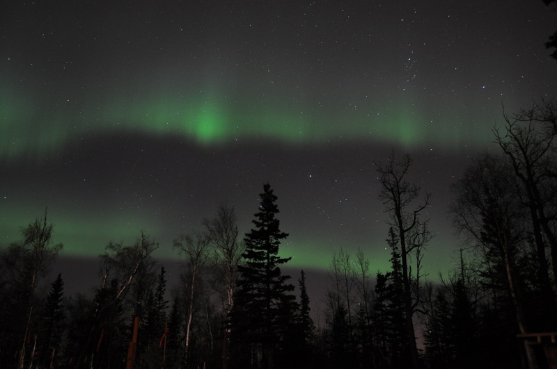 scenics - nature, silhouette, illuminated, space and astronomy, no people, 4K, north pole, green color, night, dark, plant, sky, astrology, astronomy