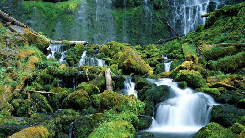 lanscape, falls, oregon, nature and landscapes, range, logs, proxy, 1080P, cascade, rocks, moss, waterfalls