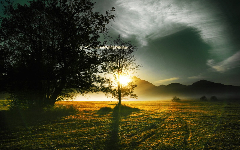 sunset, sunlight, hd, lanscape, 1080P, trees, nature