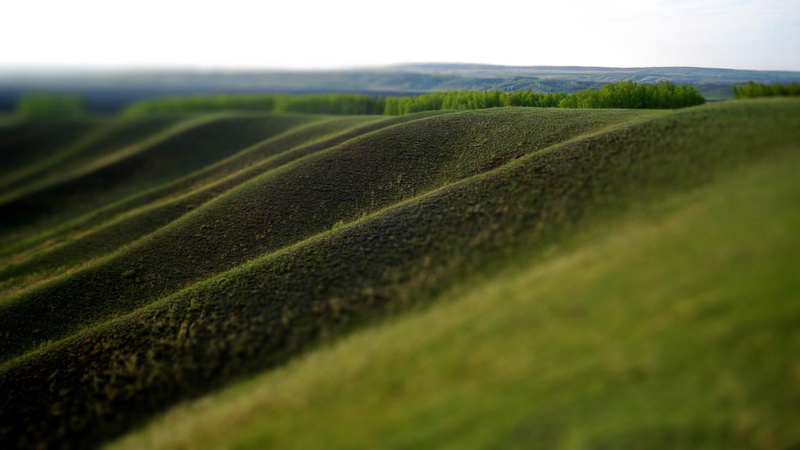 grass, 1080P, field, green, 3d and abstract, lanscape, nature, soil