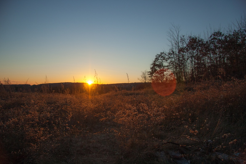 Nothern, New England, Earth, Grass, Fall, East Coast, Sunset, 2K