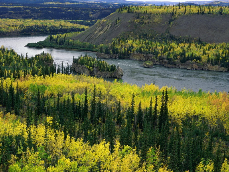 720P, river, yukon