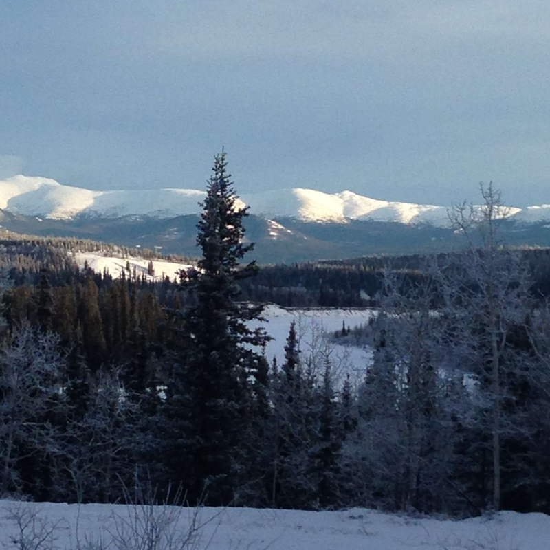 nature, mountains, tree, yukon, tranquility, beauty in nature, sky, pine woodland, tranquil scene, forest, cold temperature, river valey, mountain, cloud - sky