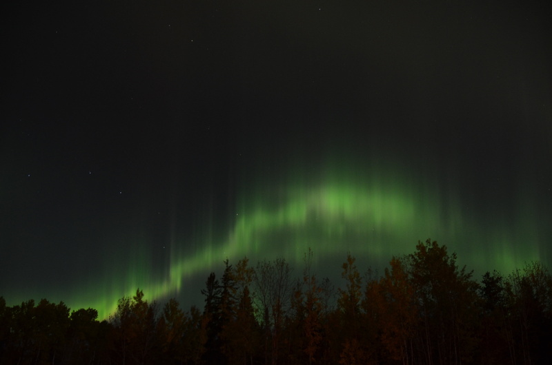 awe, canada, northern, no people, plant, dark, mystery, lights, celestial, power in nature, landscape, green, tranquil scene, phenomenon, borealis, dancing
