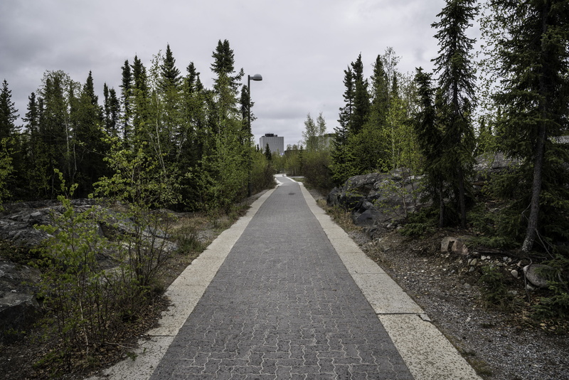 canada, no People, Northern, cloud - sky, road, outdoors, direction, coniferous tree, transportation, nature, Path, 5K, pine tree, prince of wales, tree