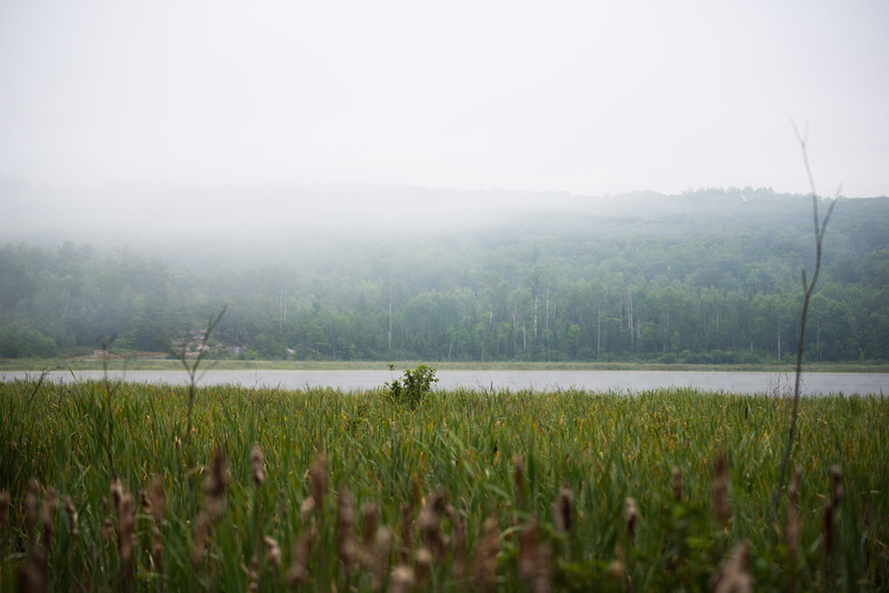 outdoors, no people, field, tranquil scene, 5K, northern, mountain, grass, day, tranquility, growth, water, nature, plant, scenics - nature, canada, blind river