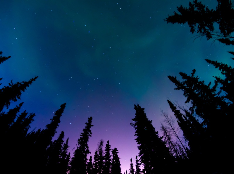 northernlights, growth, view, idyllic, Nature, eye, no people, auroraborealis, Aurora, 4K, star - space, space, low angle view, astronomy, tranquility