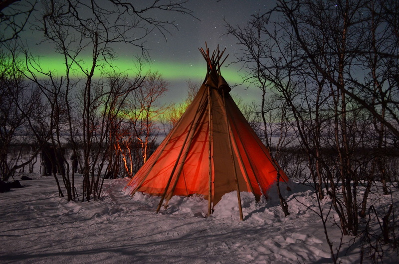 cold temperature, bare tree, tranquility, land, winter, 4K, outdoors, plant, tranquil scene, branch, yolo, sky, mothernature, field, northernlights, nature