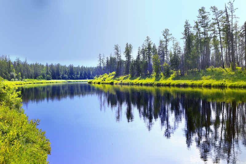 lake, beauty in nature, clear sky, day, siberia, yakutia, green color, sky, no people, water, tranquility, idyllic, reflection, peleduy, growth, tree, river