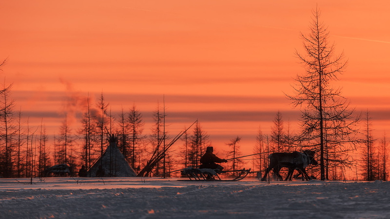 snow, deer, people, 1080P, Yakutia, Yurt, North, Winter