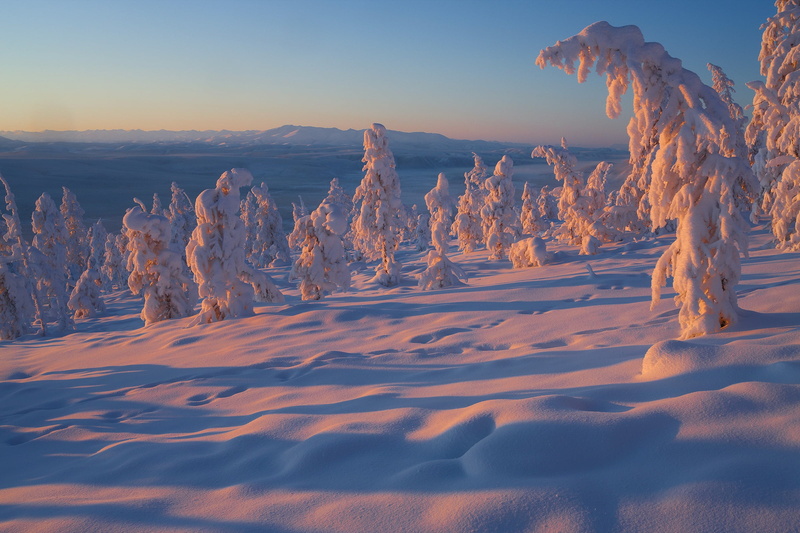 trees, Yakutia, snow, 1080P, winter, Vladimir Ryabkov, Russia