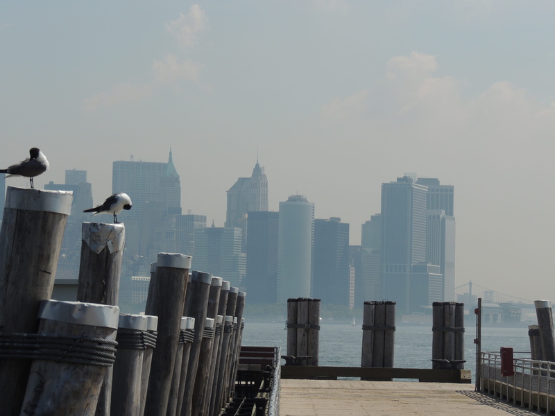 modern, tall - high, office building exterior, outdoors, no people, new york, walpaper, financial district, bird, architecture, spire, city, sky, urban skyline