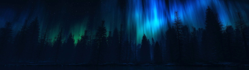 woodland, pine tree, christmas, 4K, tranquility, no People, aurora Polaris, scenics - nature, land, blue, luminosity, plant, backgrounds, light - Natural Phenomenon