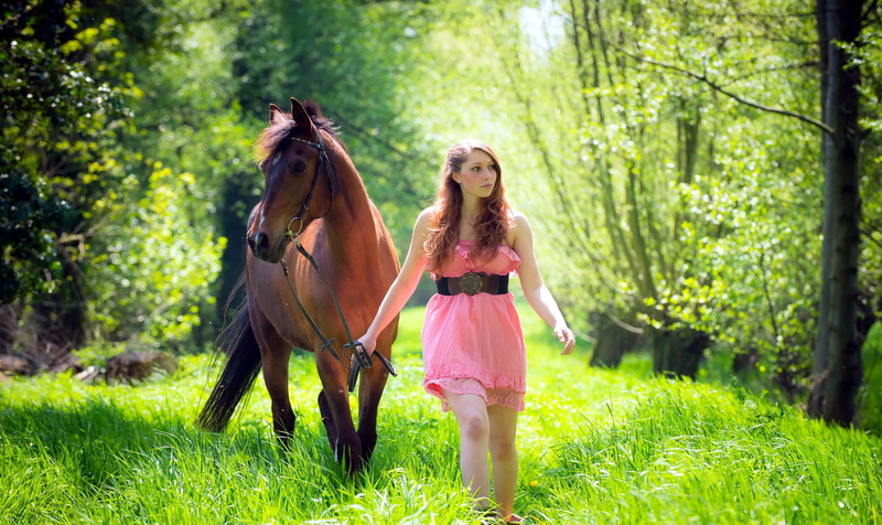 girl, long hair, animal wildlife, nature, pink, hairstyle, plant, 1080P, beautiful woman, grass, dress, women, one person, horse, young adult, sundress