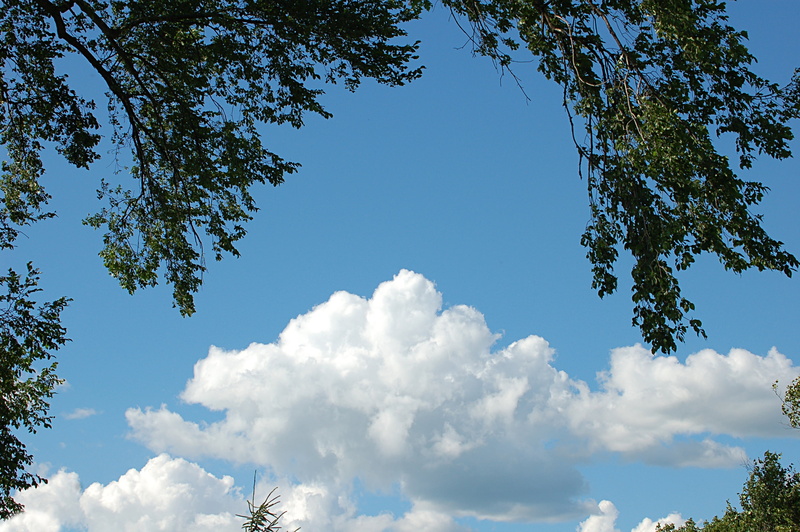 outdoors, branch, landscape, bright, sunny, environment, idyllic, scenics, blue, positive emotion, space, clouds, day, cloud - Sky, sky, weather, tranquil scene