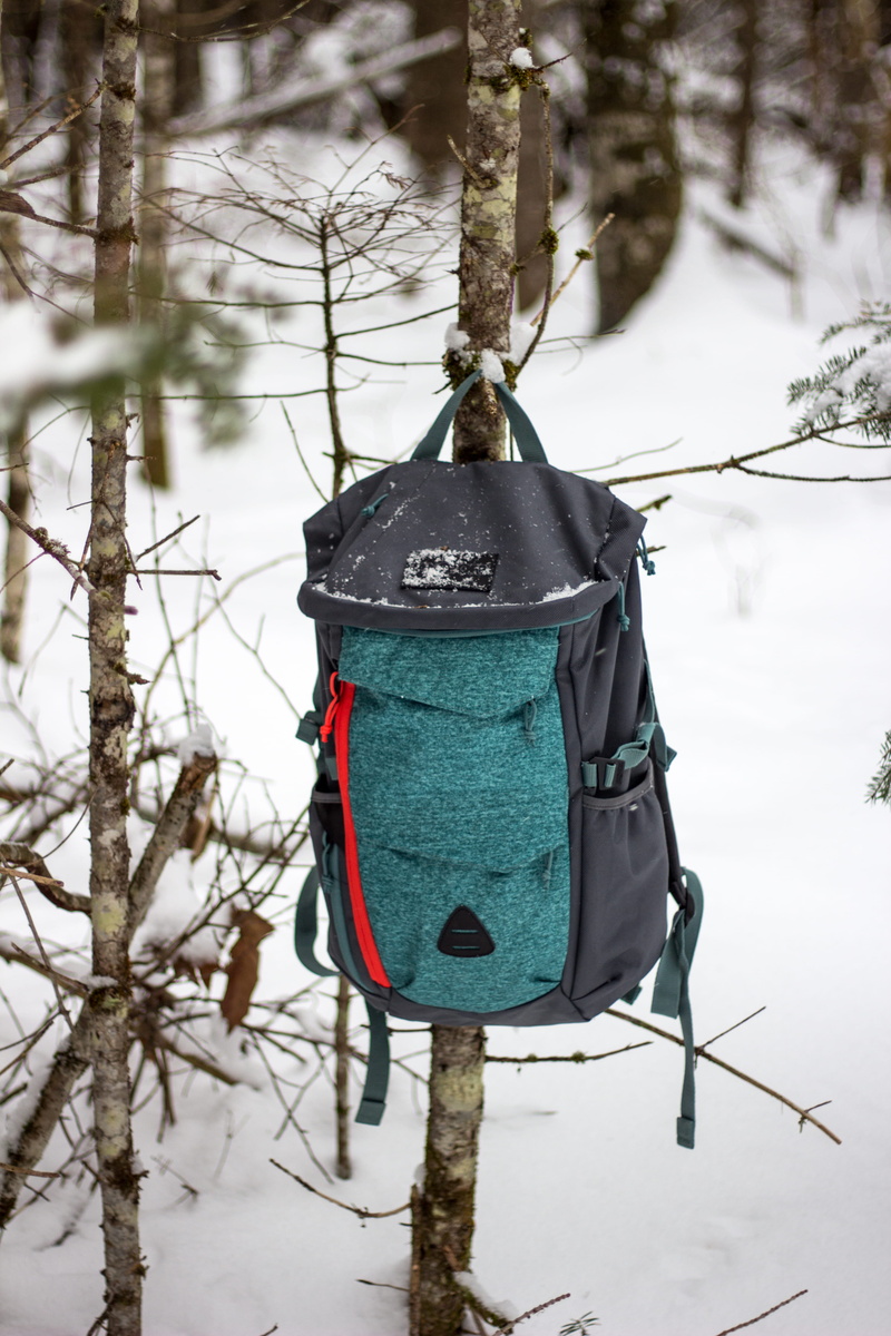 cello, bird, outdoors, tote bag, cold temperature, plant, backpack, close-up, bush, jay, snow, beauty in nature, mammal, plastic, covering, pet, bag, quiver