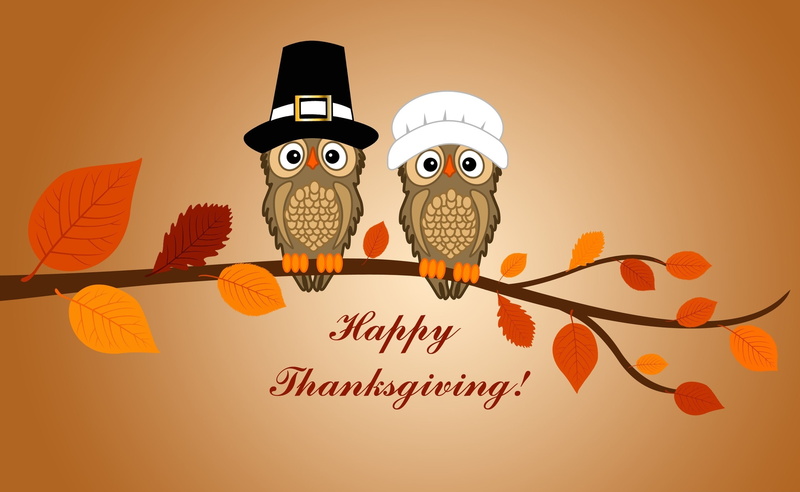 Halloween, Background, 2K, Fall, thanksgiving, OwlS, Cute, Holidays, happy, Holiday, Autumn, day