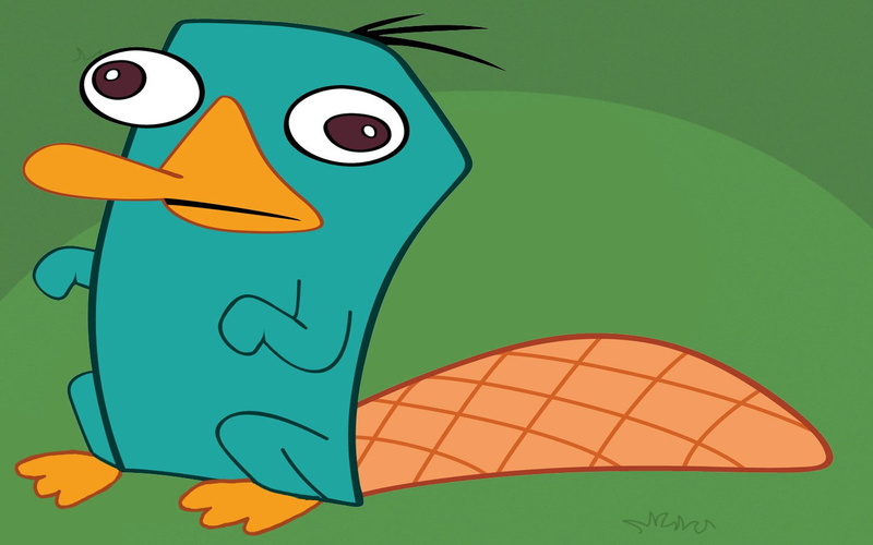 human body part, human face, teenager, Phineas And Ferb, green color, surprise, emotion, vertebrate, beauty, fear, child, facial expression, people, cartoon