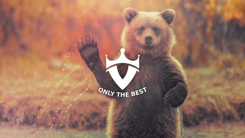 communication, bear, one animal, white, 1080P, water, outdoors, toy, front view, plush, day, land, bears, mammal, black, animal wildlife, focus on foreground