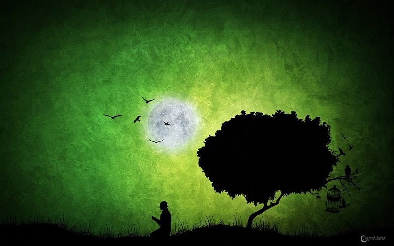 nature, cat, plant, beauty in nature, vignette, green color, vector, no people, black, plush, tree, animals in the wild, vertebrate, white, toy, animal themes