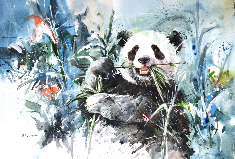 wildlife, cute, water, Panda, bear, portrait, no People, black, day, 2K, animal head, vertebrate, ice, figure, backgrounds, high angle view, bamboo, mammal