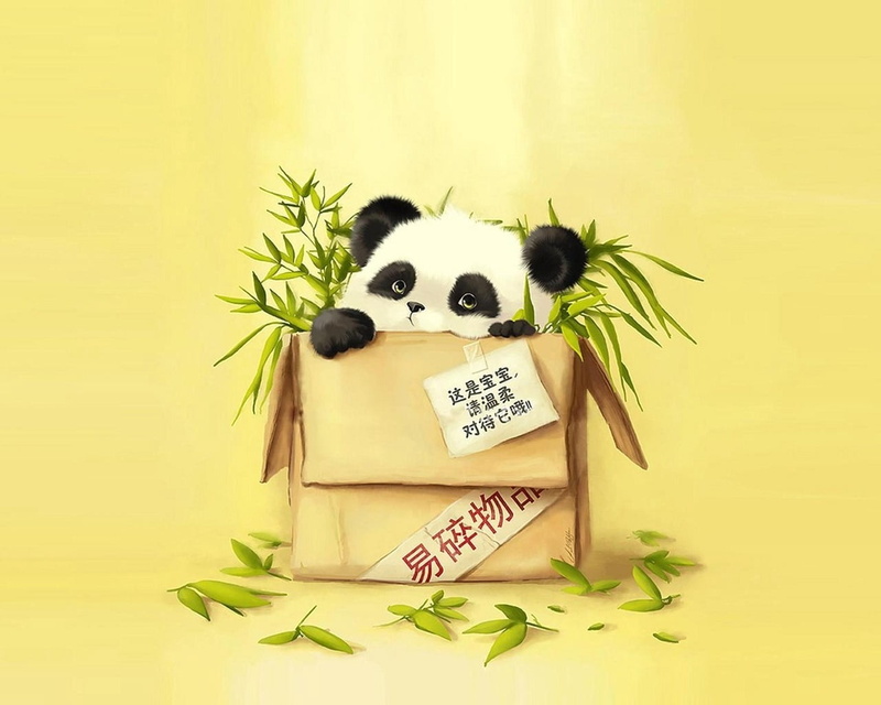 720P, backgrounds, illustration, domestic, text, animal, animal representation, wellbeing, young animal, mammal, nature, representation, box, cute, no People