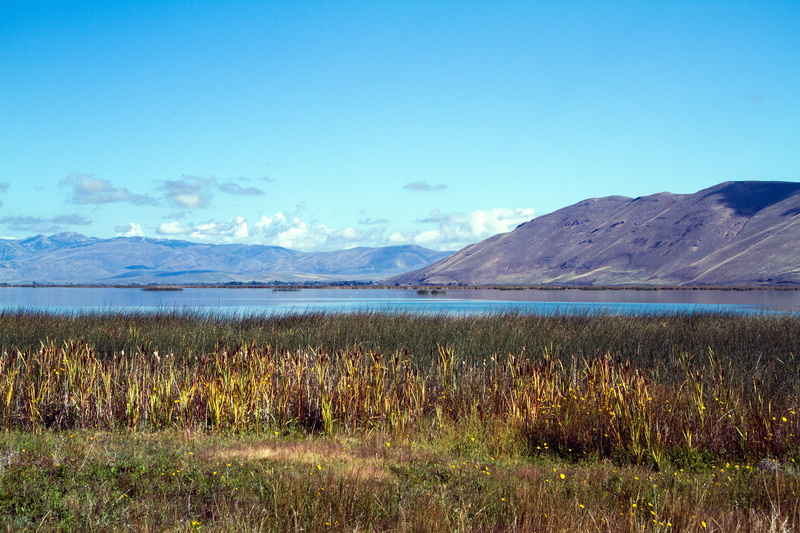 Baer, tranquility, snowcapped mountain, plant, cloud - sky, America, Usa, nature, scenics - nature, water, scenics, landscape, blue, land, Idaho, beauty in nature