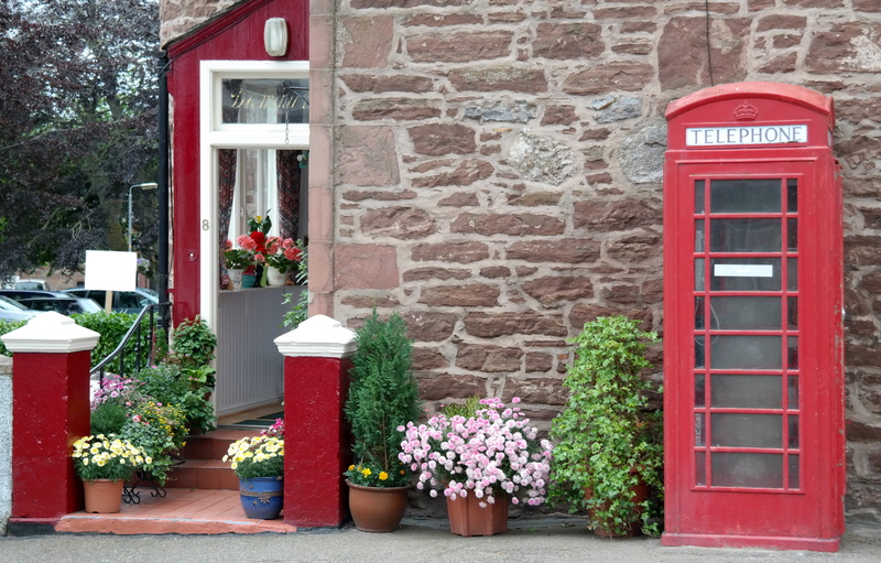building exterior, no people, day, flower, window, plant, wall - building feature, communication, red, entrance, potted plant, growth, 4K, built structure