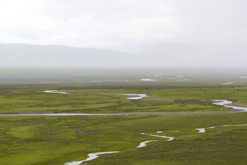 tranquil scene, Landscape, sky, River, environment, 5K, Prairie, land, beauty in nature, fog, non-urban scene, nature, outdoors, field, green color, no people