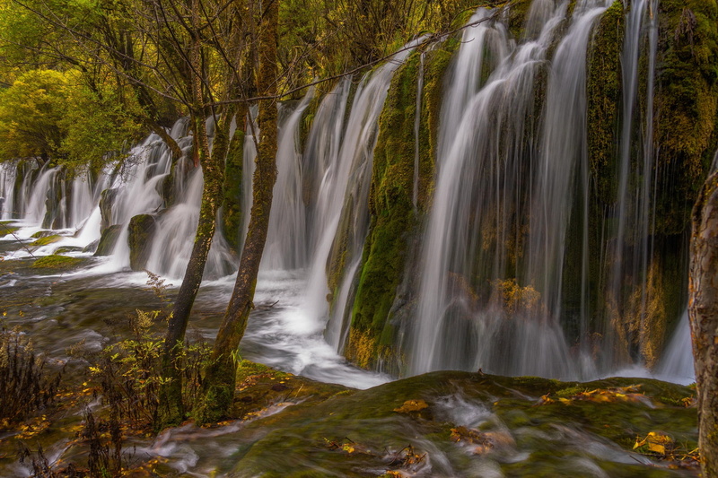 autumn, Jiuzhai Valley National Park, 1080P, China, cascade, Sichuan province, trees, waterfall