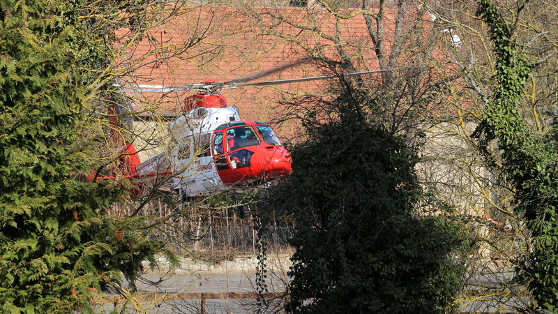 air rescue, forest, rescue, flying, nature, day, no people, accident rescue, sunlight, use, helicopter, red, tree, outdoors, growth, ambulance helicopter
