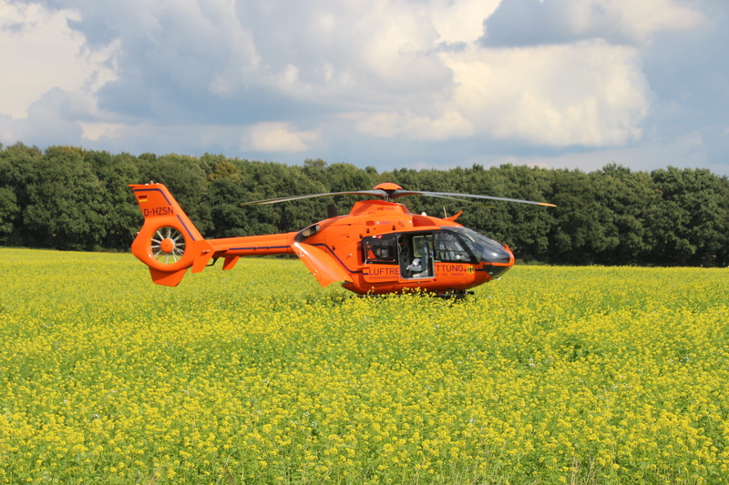 outdoors, plant, 5K, farm, helicopter, transportation, field, mode of transportation, day, rescue helicopter, cloud - sky, yellow, agriculture, rural scene