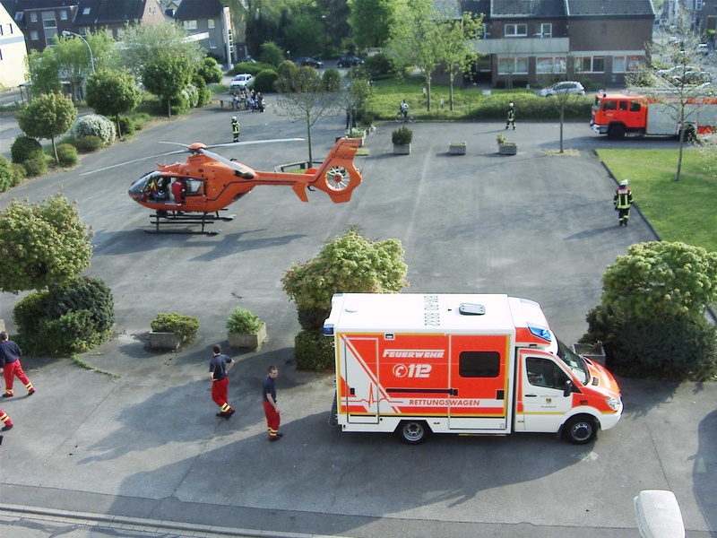 tree, car, group of people, plant, accidents and disasters, doctor on call, city, road, people, rescue worker, fire, first aid, transportation, orange