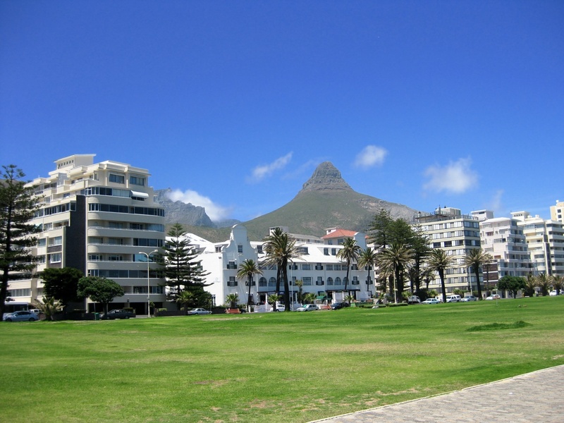 palm trees, 1080P, grass, building exterior, green color, built structure, tree, hill, city, travel destinations, cape town, residential district, signal