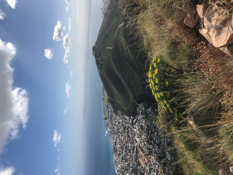 lions head, beauty in nature, tranquil scene, non-urban scene, south africa, signal hill, plant, environment, sunlight, no people, tranquility, nature