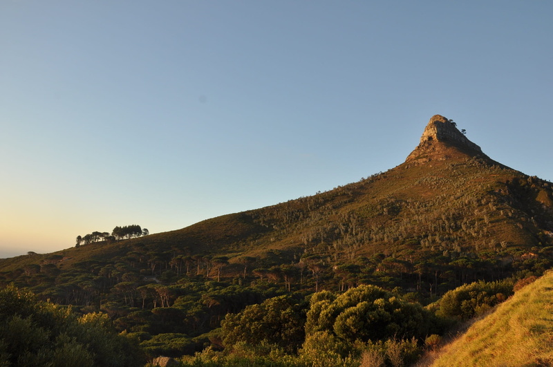 day, cape town, landscape, hill, mountain peak, rock, beauty in nature, nature, travel, clear sky, tranquility, environment, mountain, signal hill, outdoors