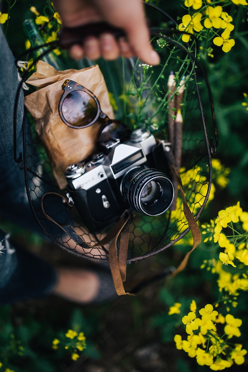 flowering plant, 4K, passion, summer, bloom, nature, camera, hobbies, photography, men, hand, photographing, rapeseed, caucasian Ethnicity, day, technology