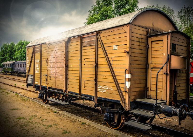 train - vehicle, tree, no people, rail transportation, railway carriages, outdoors, light, track, rust, transport of goods, transportation, plant, day