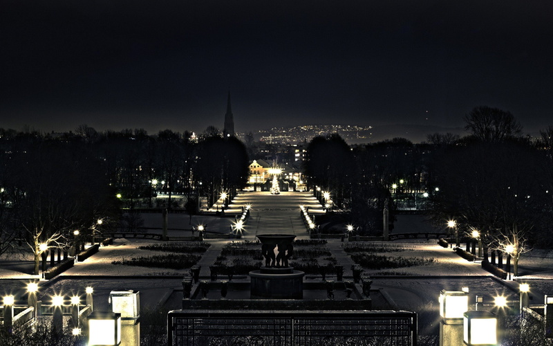night, photography, city lights, frogs, animals, 2560x1600 px, park, city, lights, px, art, hd, x, 2K