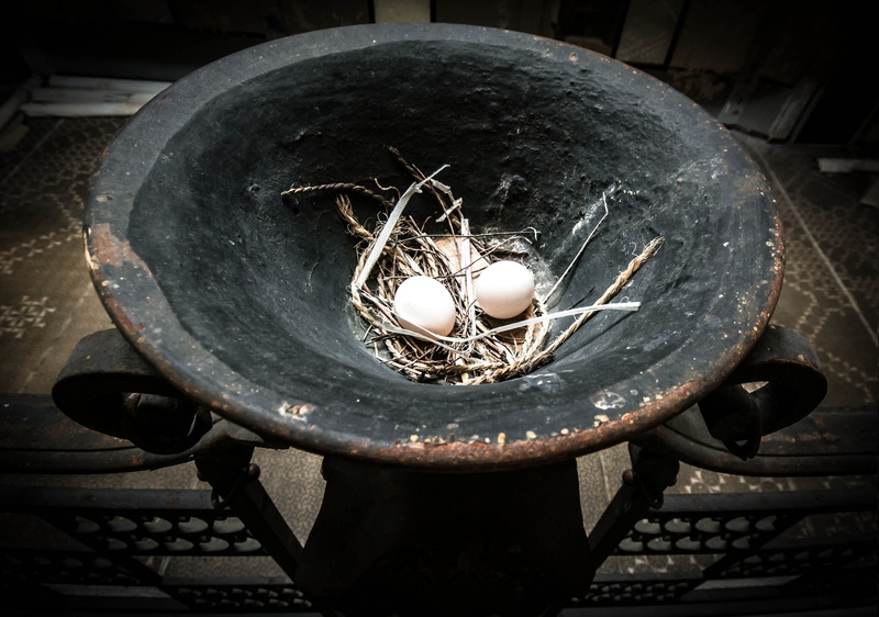 metal, old, run-down, indoors, food, high angle view, day, nature, lighting equipment, obsolete, container, illuminated, still life, abandoned, close-up